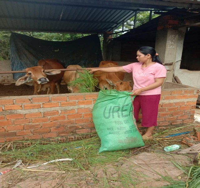 Đoàn xã Ea Phê đẩy mạnh công tác tuyên truyền các chương trình tín dụng của Ngân hàng Chính sách xã hội